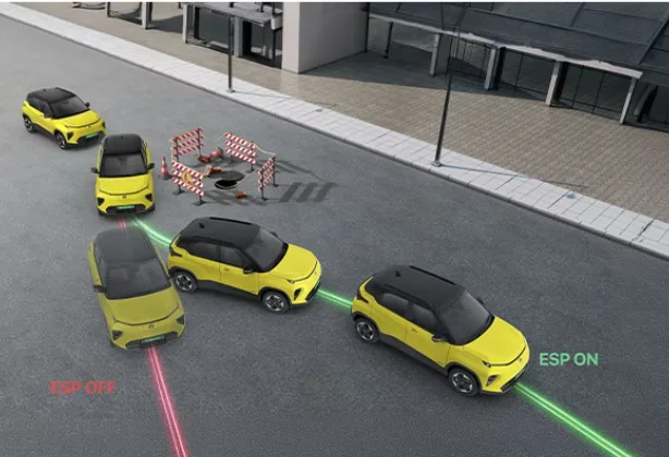 Electronic Stability Program (ESP)